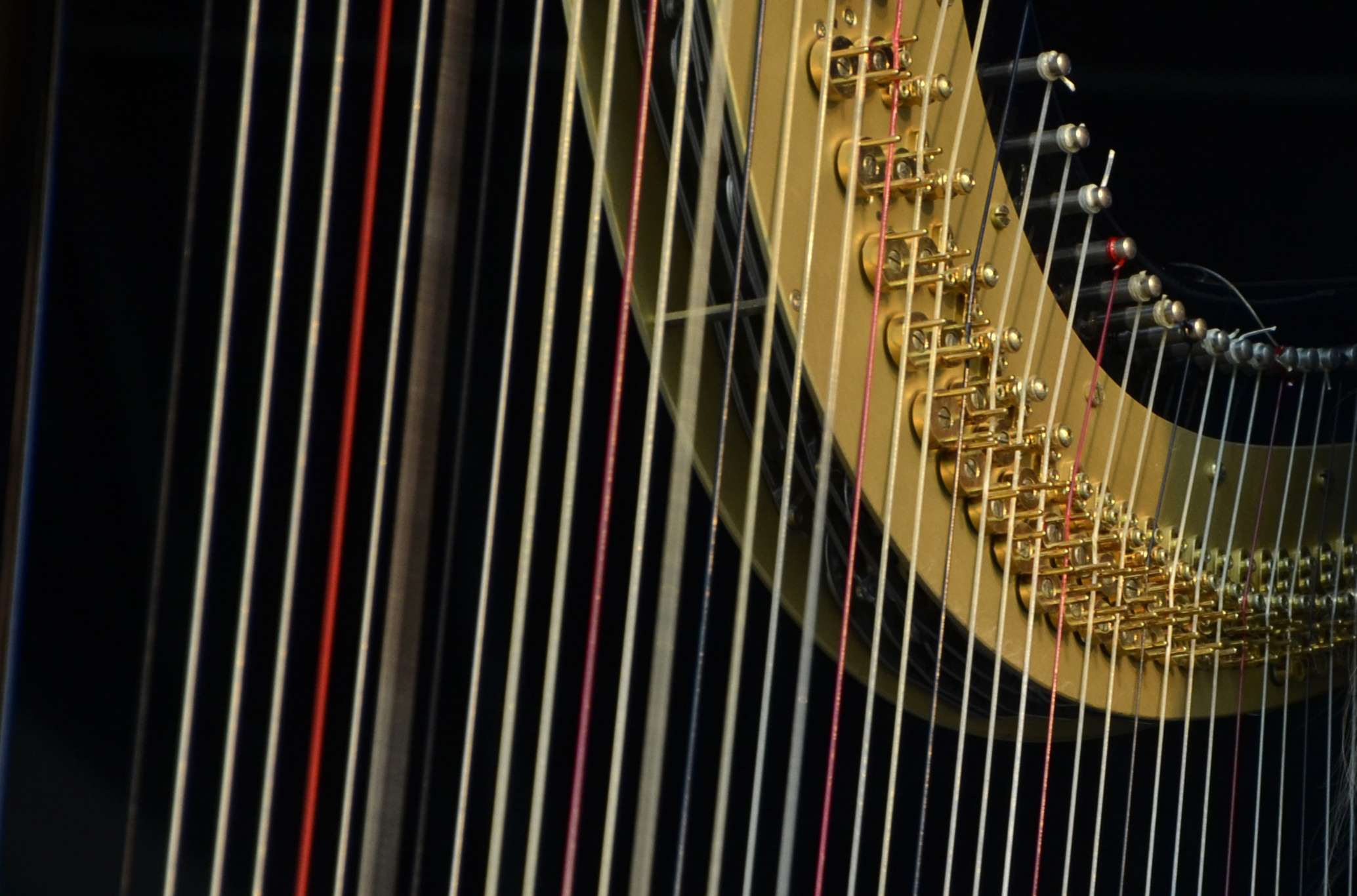 home harp rossitza milevska